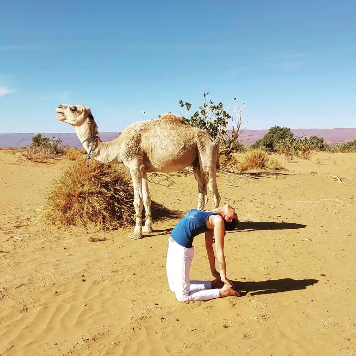 Yoga Retreat in Morocco end of April 2022