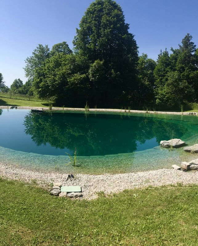 yoga retreat slovenia 4 - 11 September 2022