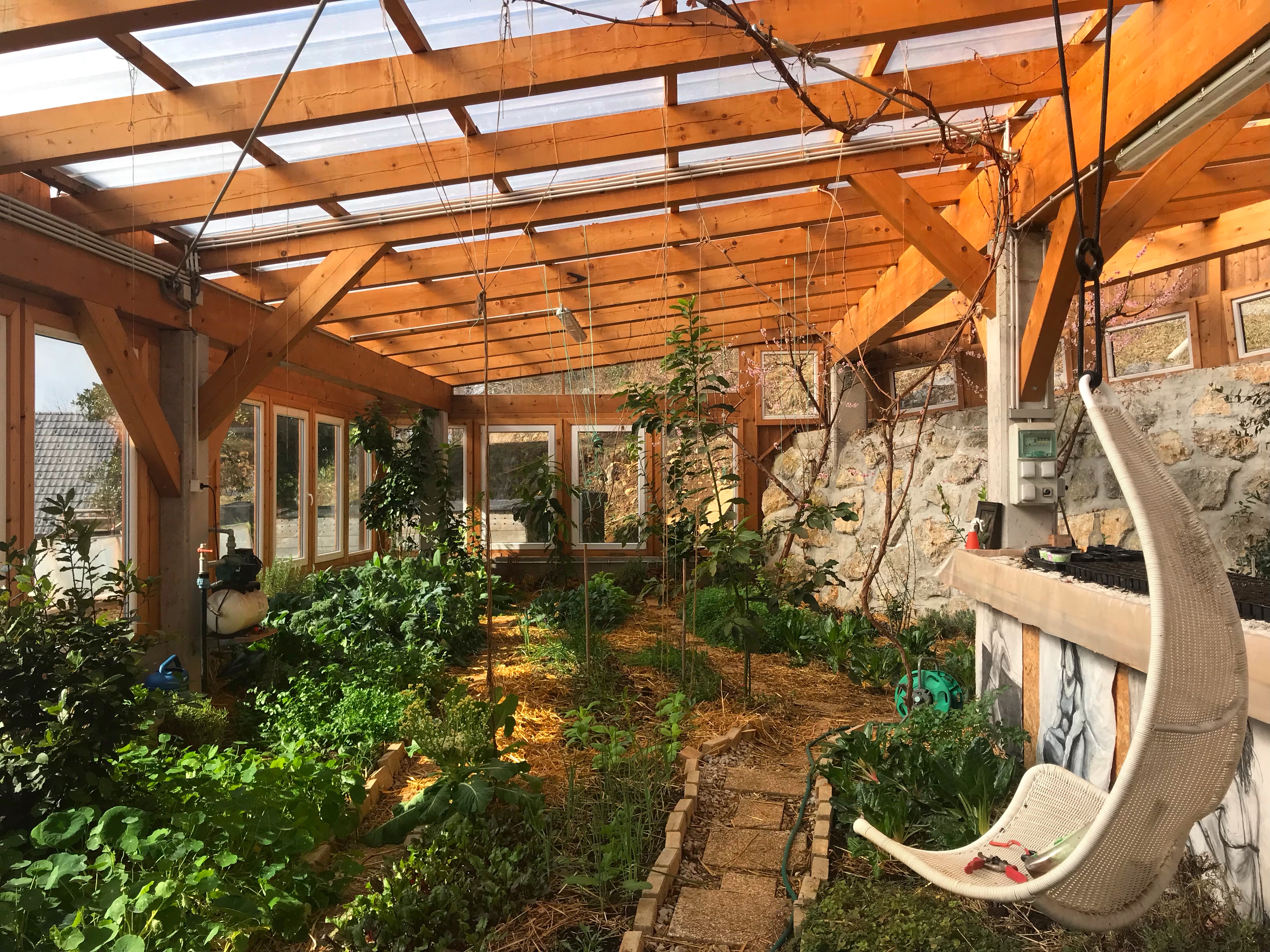 yoga retreat slovenia 4 - 11 September 2022